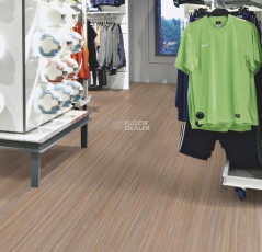 Forbo Marmoleum Decibel on Order 522535 compressed time фото 2 | FLOORDEALER